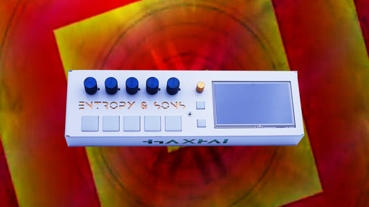 Entropy & Sons Recursion Studio CV & MIDI Controllable VIdeo Synthesizer European Version