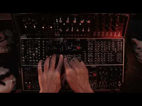 liquid sky d-vices V4CO dual 8bit wavetable oscillator with