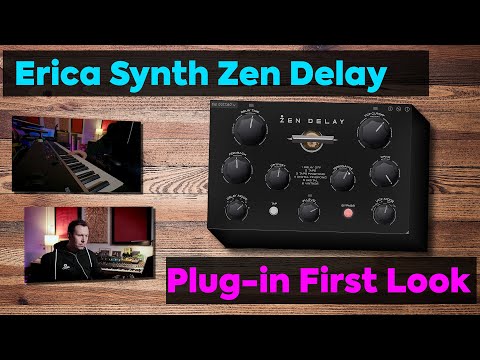 Ninja Tune & Erica Synths - Zen Delay Virtual - the experimental cult –  liquid sky europe